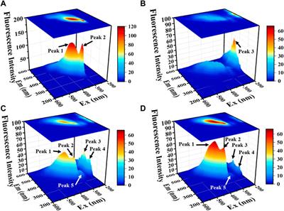 Isolation and screening of phosphorus solubilizing bacteria from saline alkali soil and their potential for Pb pollution remediation